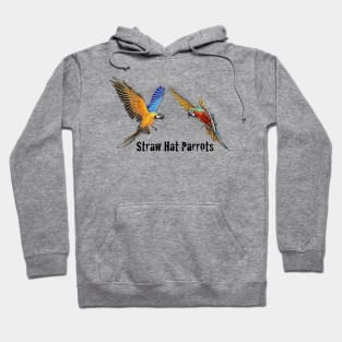 Straw Hat Parrots Luffy and Zoro: Color Hoodie